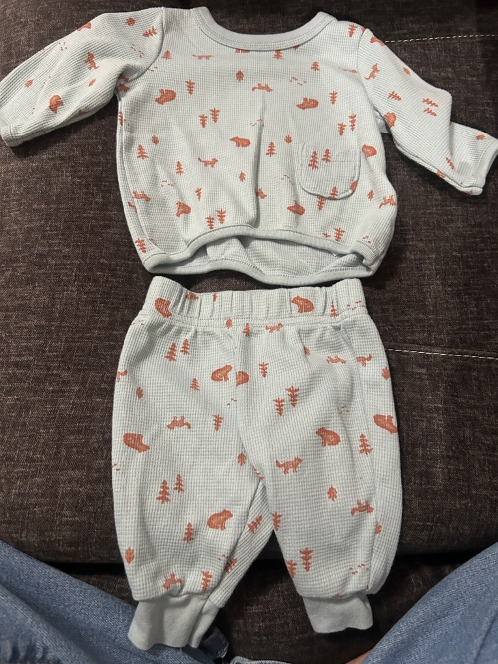 Carter's Light Blue Waffle Knit Set with Rust bear Accents